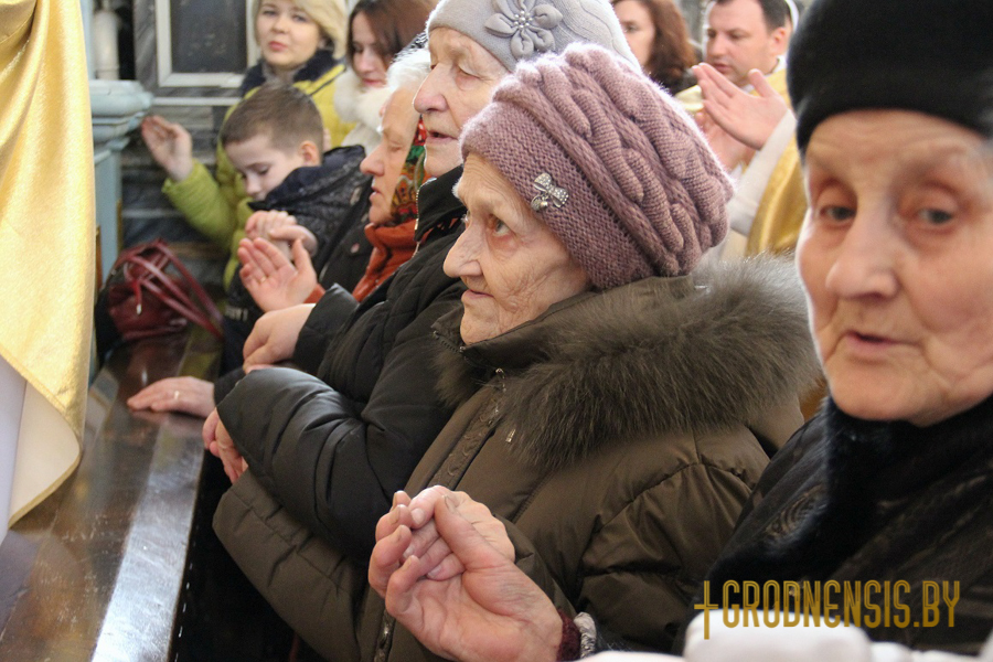 pryvitanne nuncyja 24