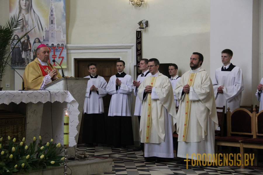 brygidki adpust 15