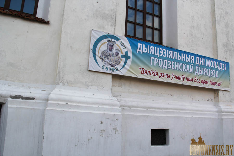 ddm paczatak  5