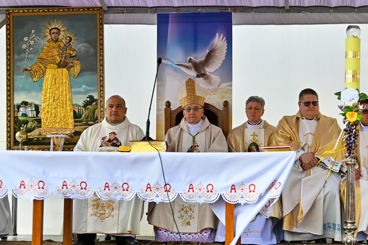 adelsk_adpust_56