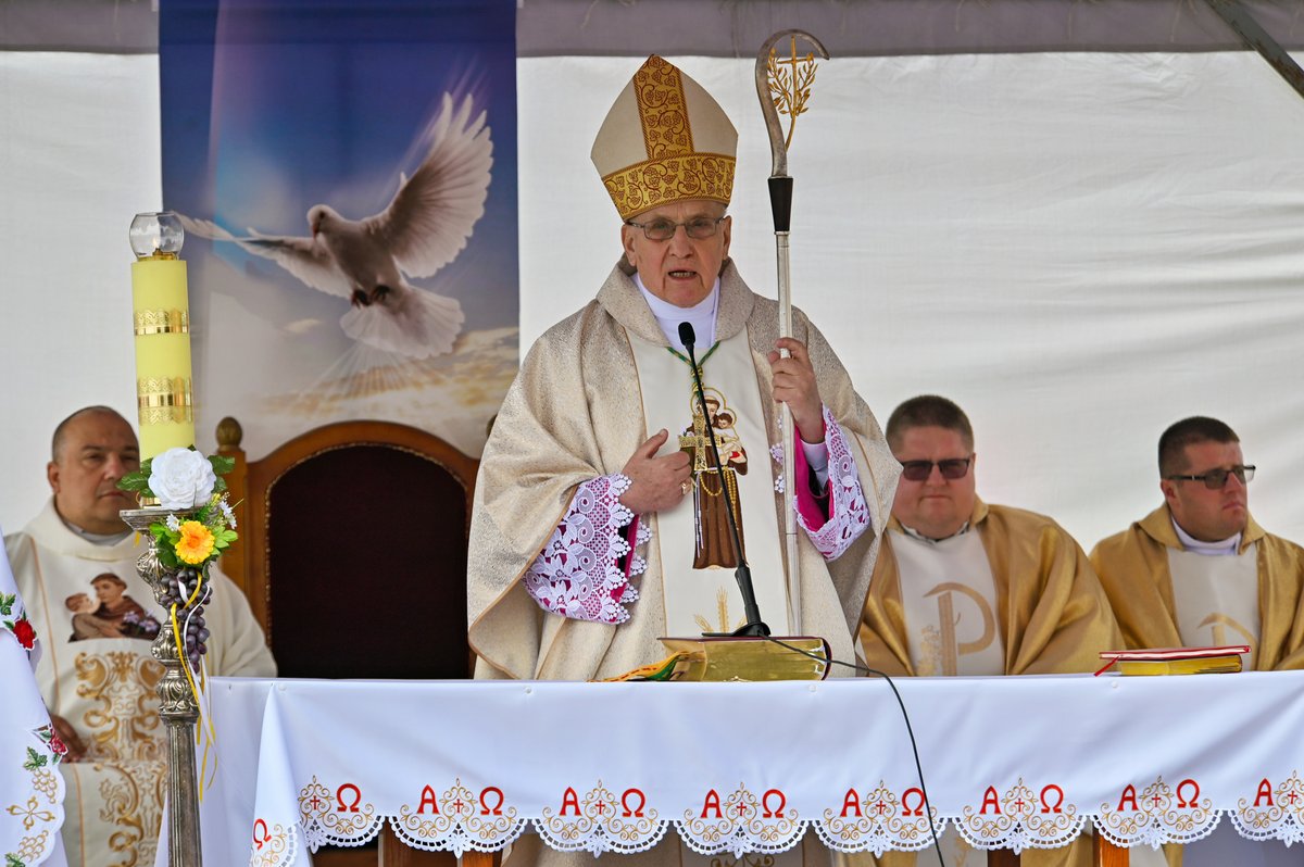 adelsk_adpust_62