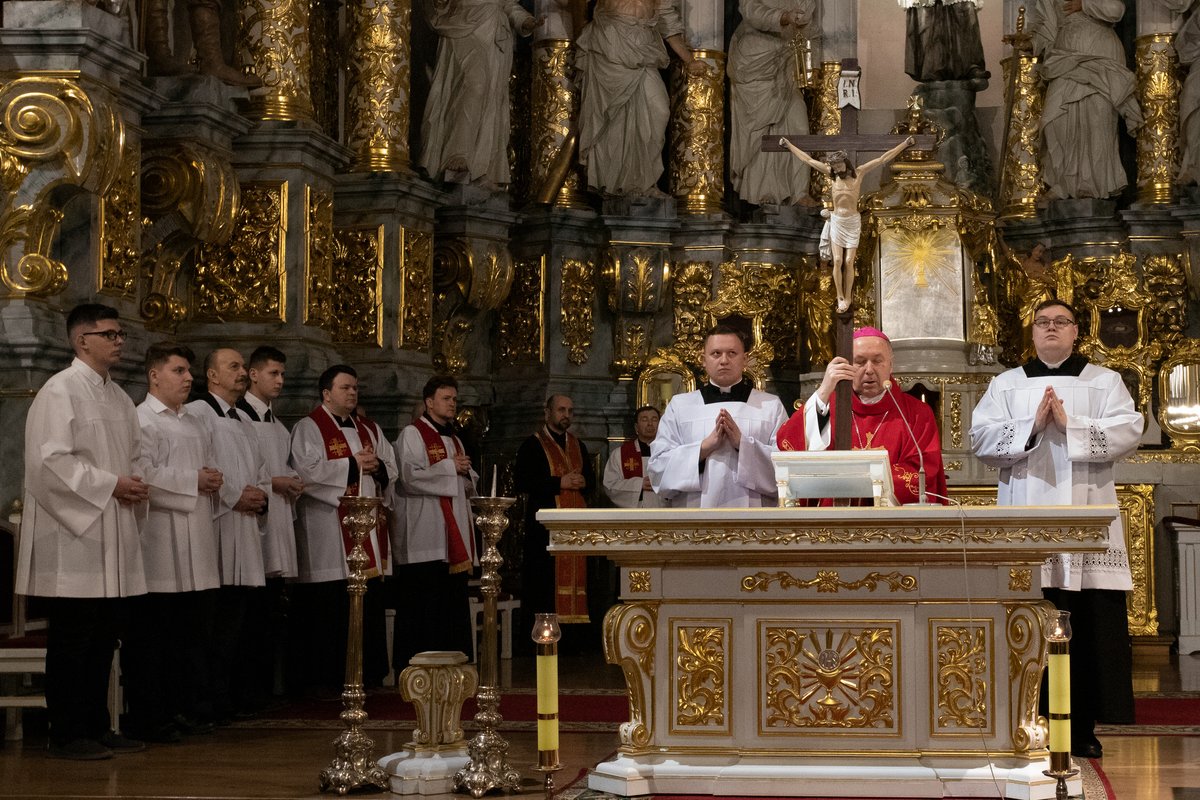 uszanowali_kryz_katedra_6