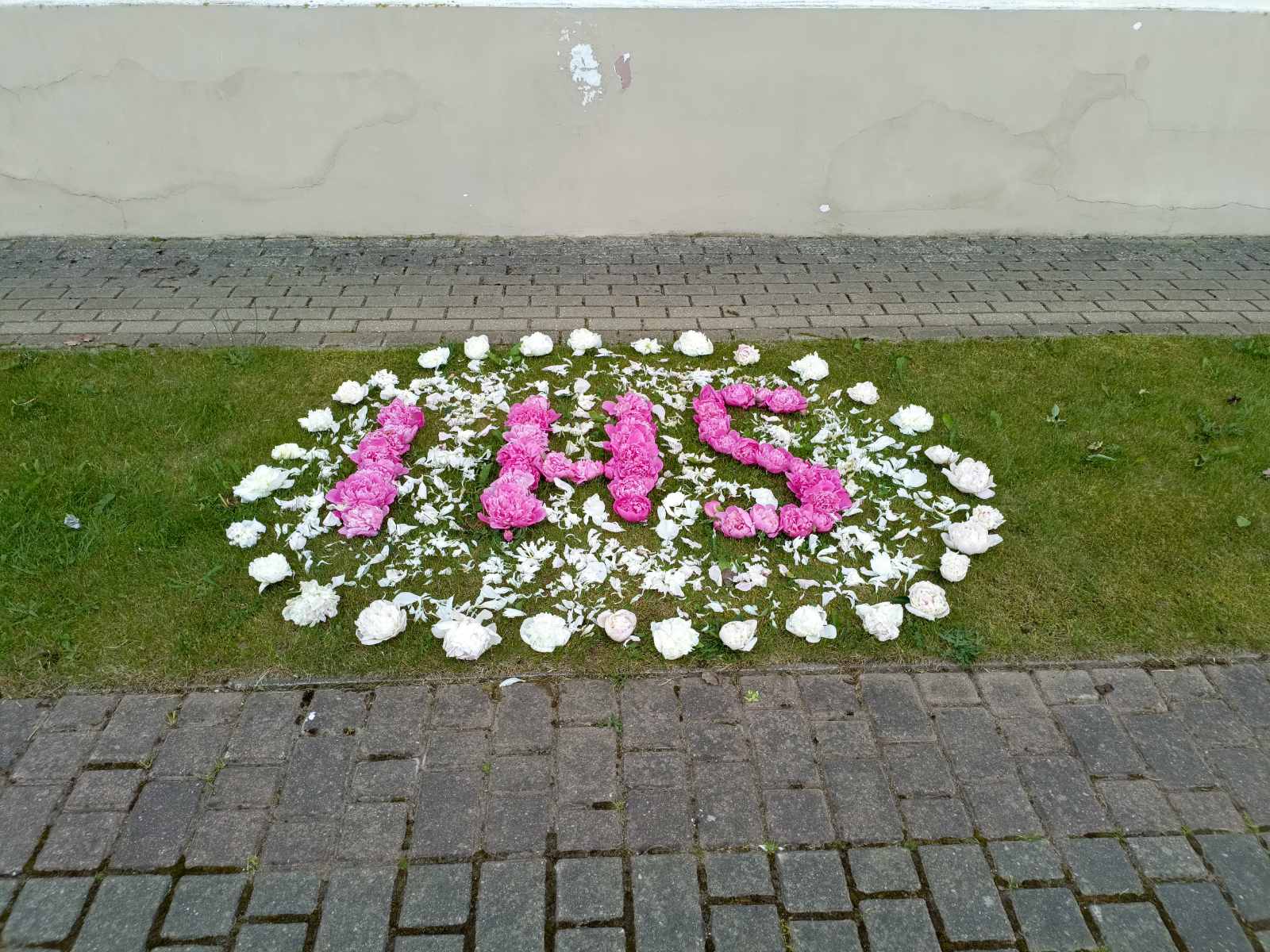 ostrowec bozecialo 3