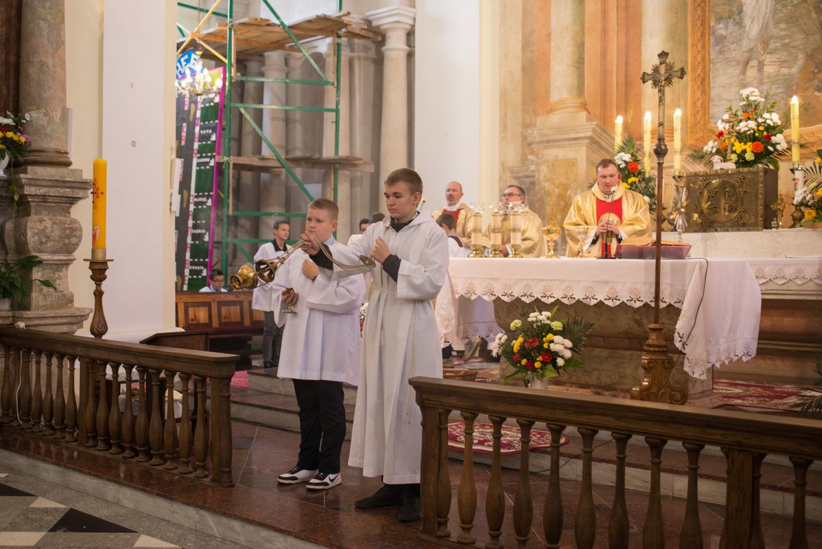 halszany_21