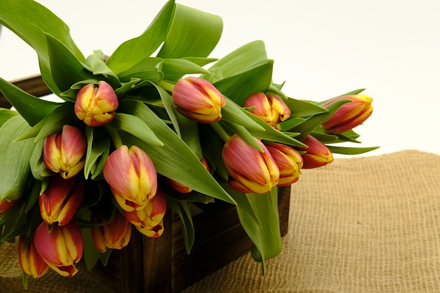 bouquet 3163313 640