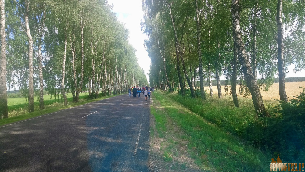 trakeli kanec 4