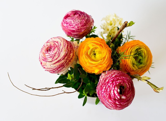 flowers 342532 640