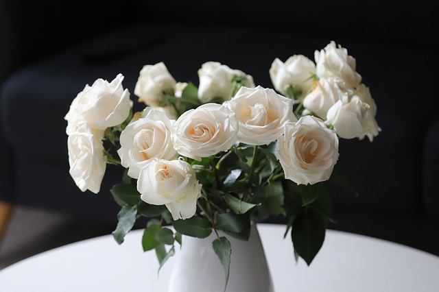 white roses 4840274 640