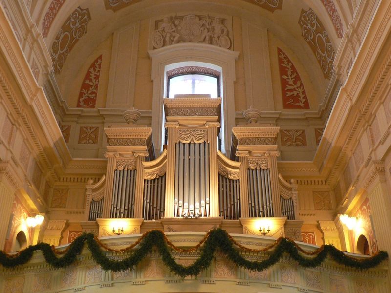 luchaj organ