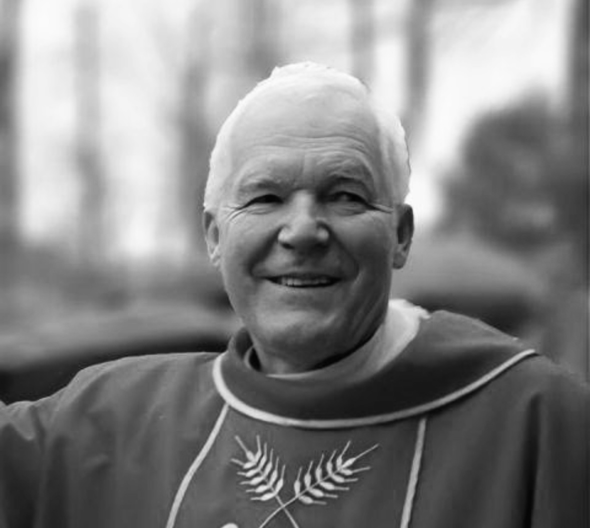 изображение viber 2025 08 05 21 31 28 333