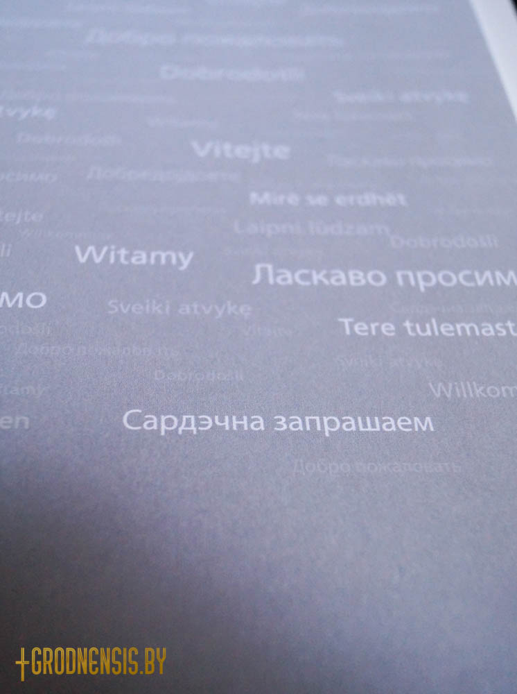 renovabis4