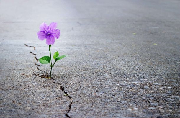 У гродзенскім касцёле Найсвяцейшага Адкупіцеля пройдзе евангелізацыйны курс “Новае жыццё”